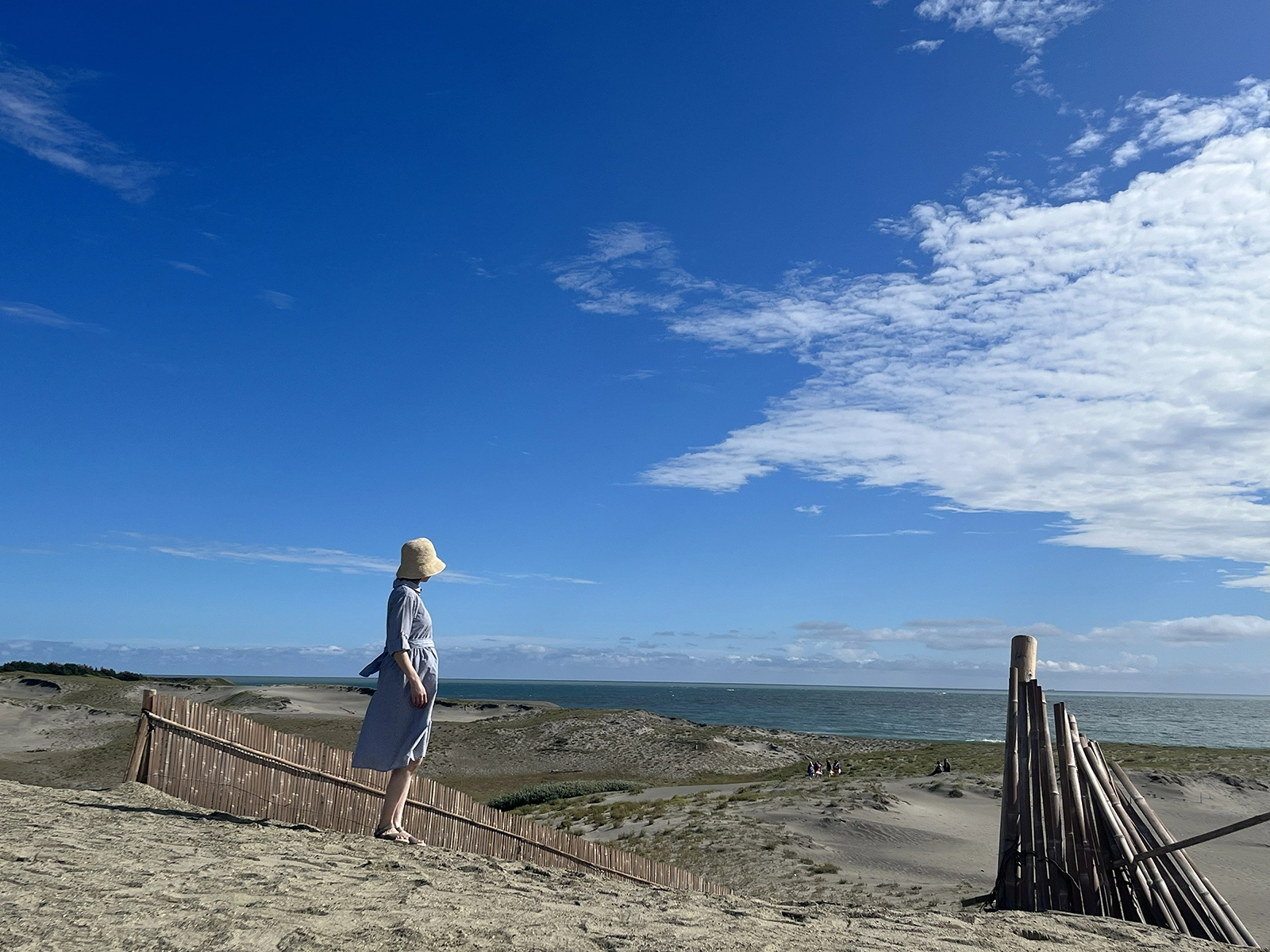 最優秀賞『妊娠中に歩いた中田島砂丘』