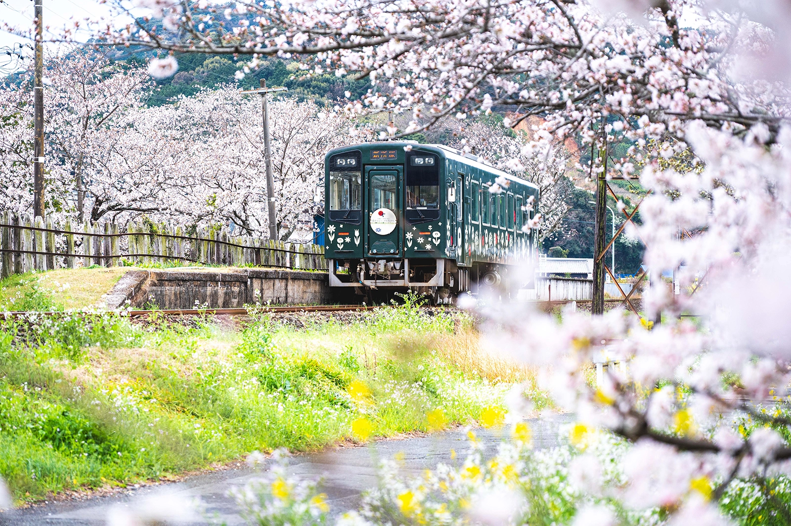 優秀賞『尾奈駅の春』