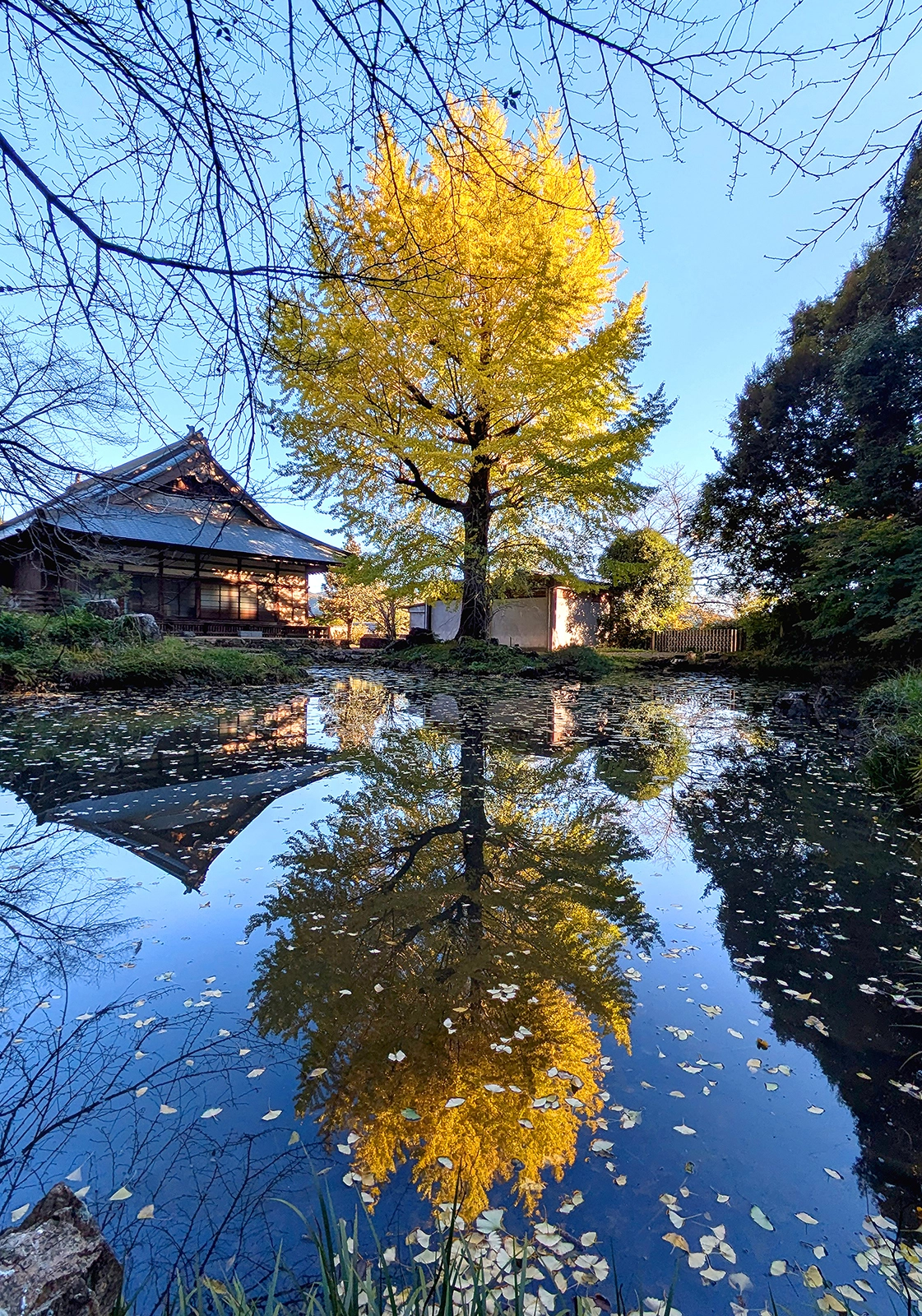 写真プリント部門賞『黄金と水面に映った黄金』