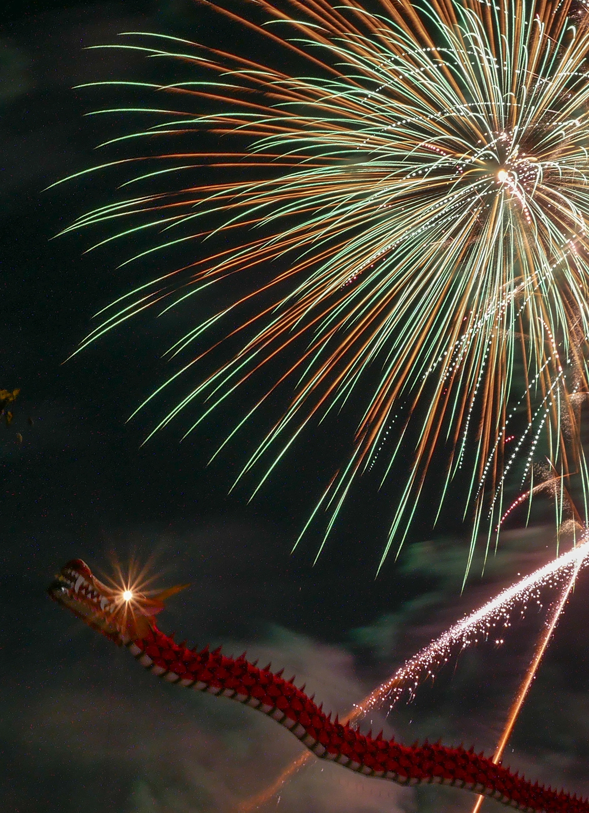 Instagram部門賞『夜空を翔ける紅蓮の龍』