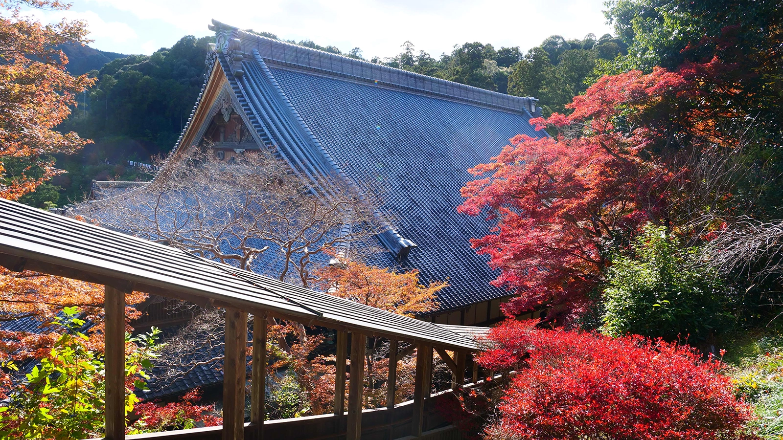 旧引佐町賞『初冬を彩る方広寺の紅葉』
