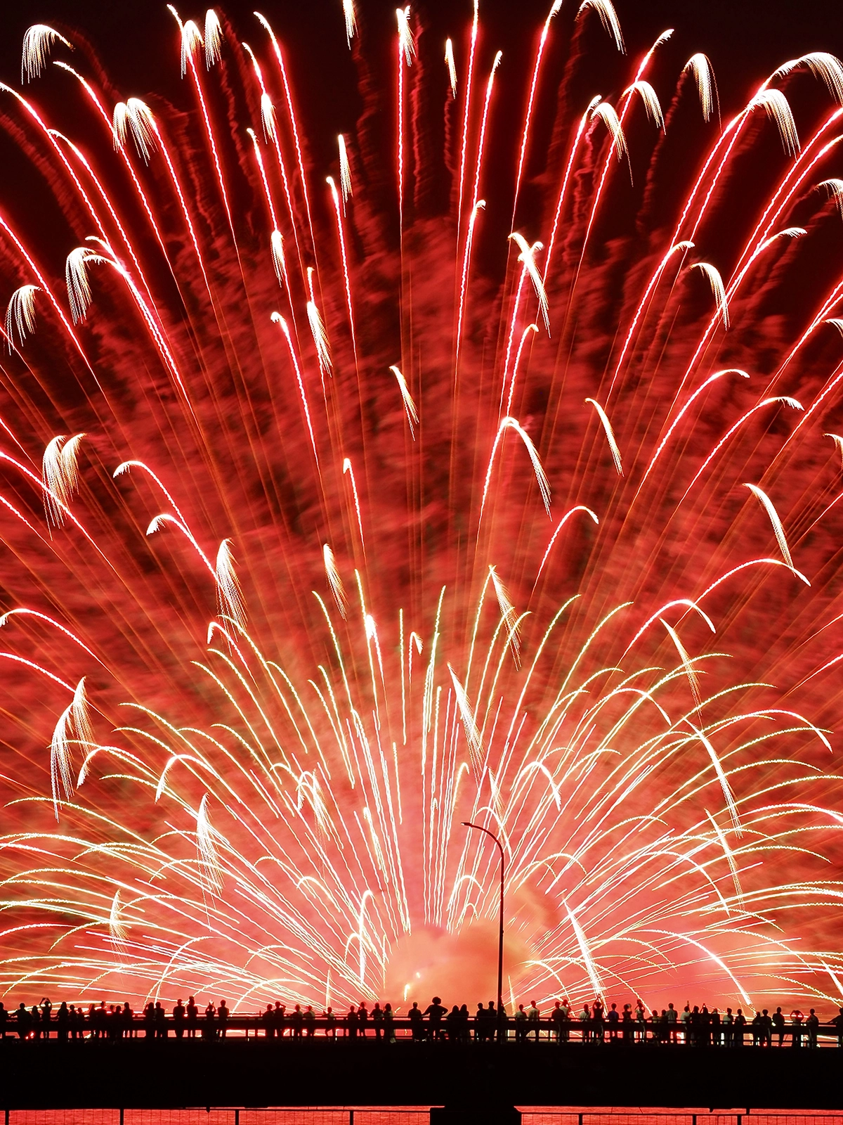 旧三ヶ日町賞『湖上の孔雀』